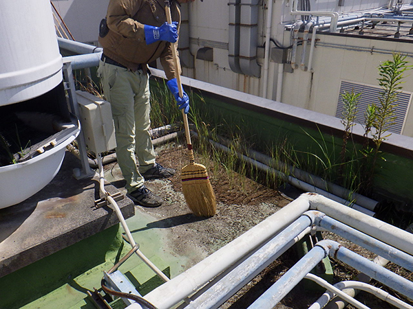 【防水工事】お掃除<br />
<br />
下地処理の洗浄前に積もった土や草などをお掃除します。